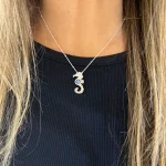 colgante de caballito de mar con cristal Swarovski